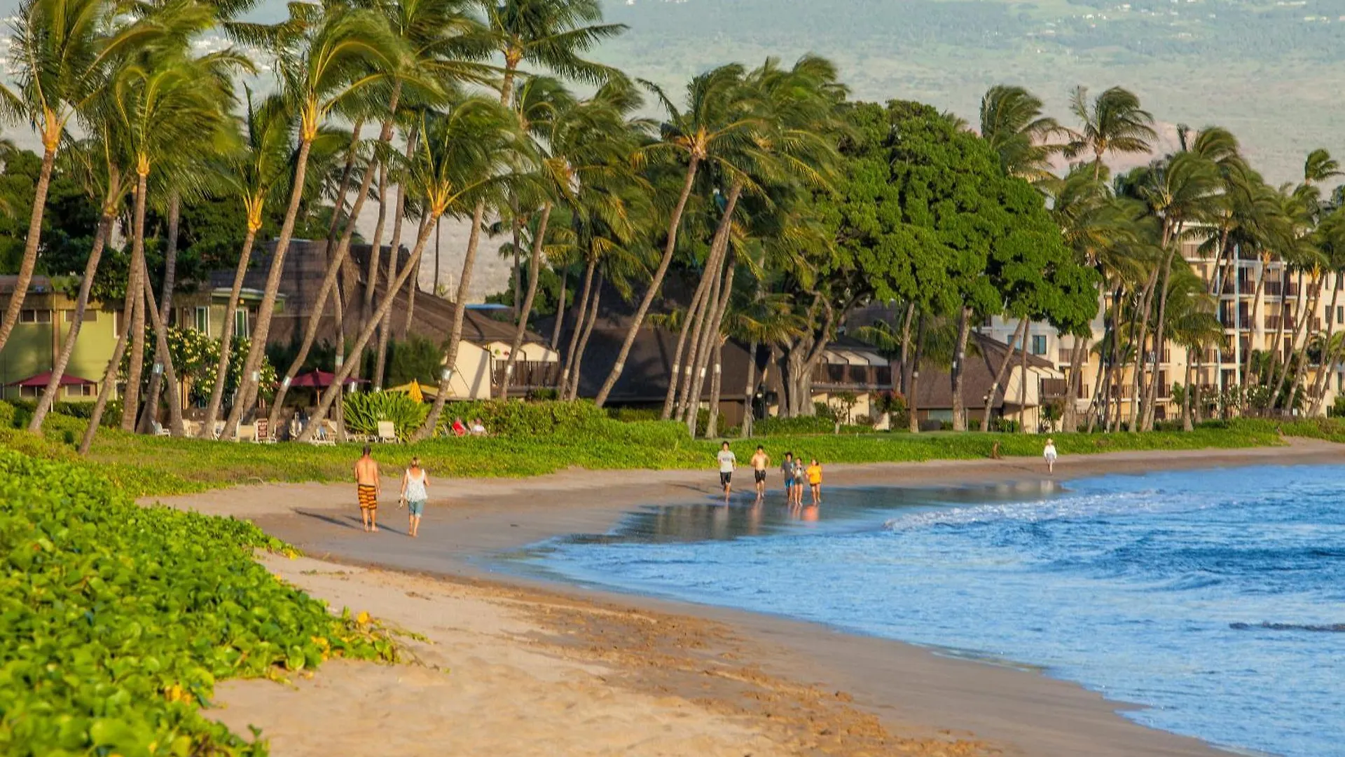 Sugar Beach 333 - Mch Kihei
