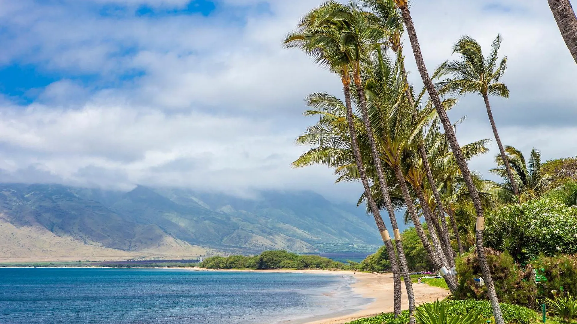 Sugar Beach 333 - Mch Kihei Holiday home