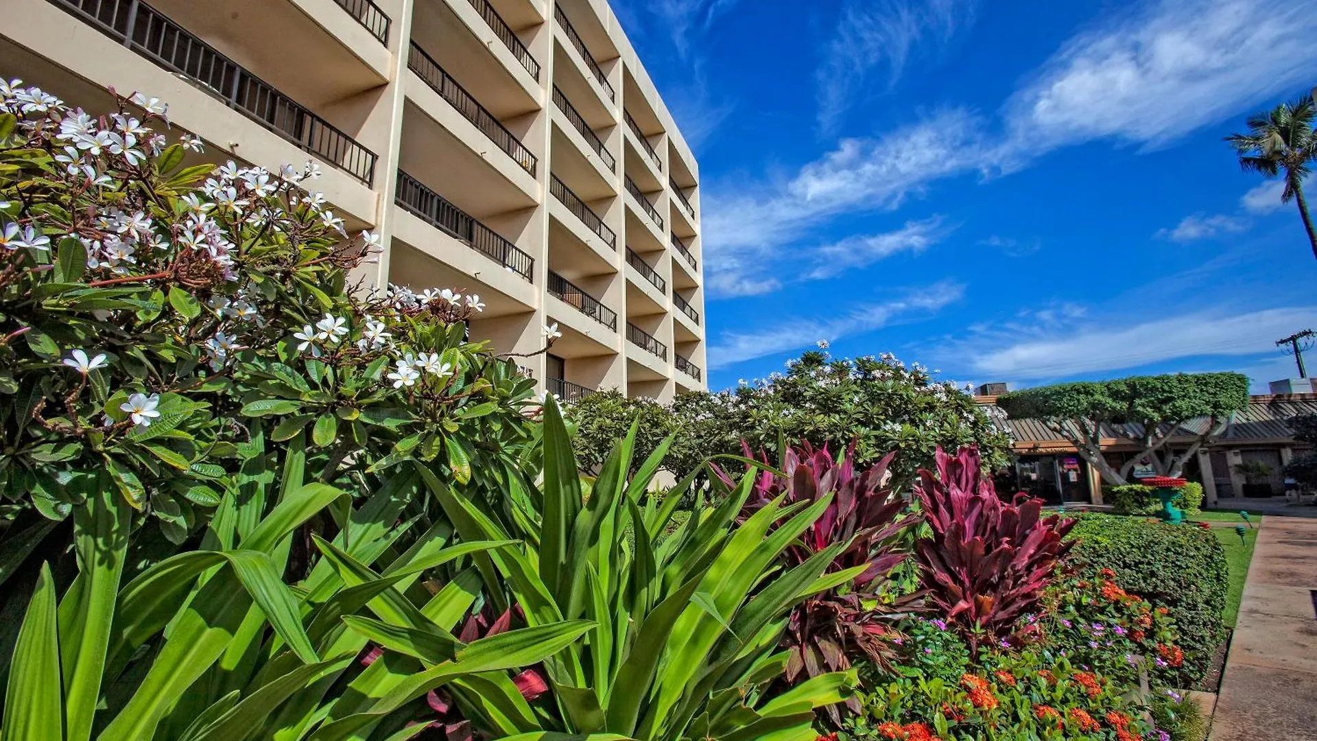 Sugar Beach 333 - Mch Kihei