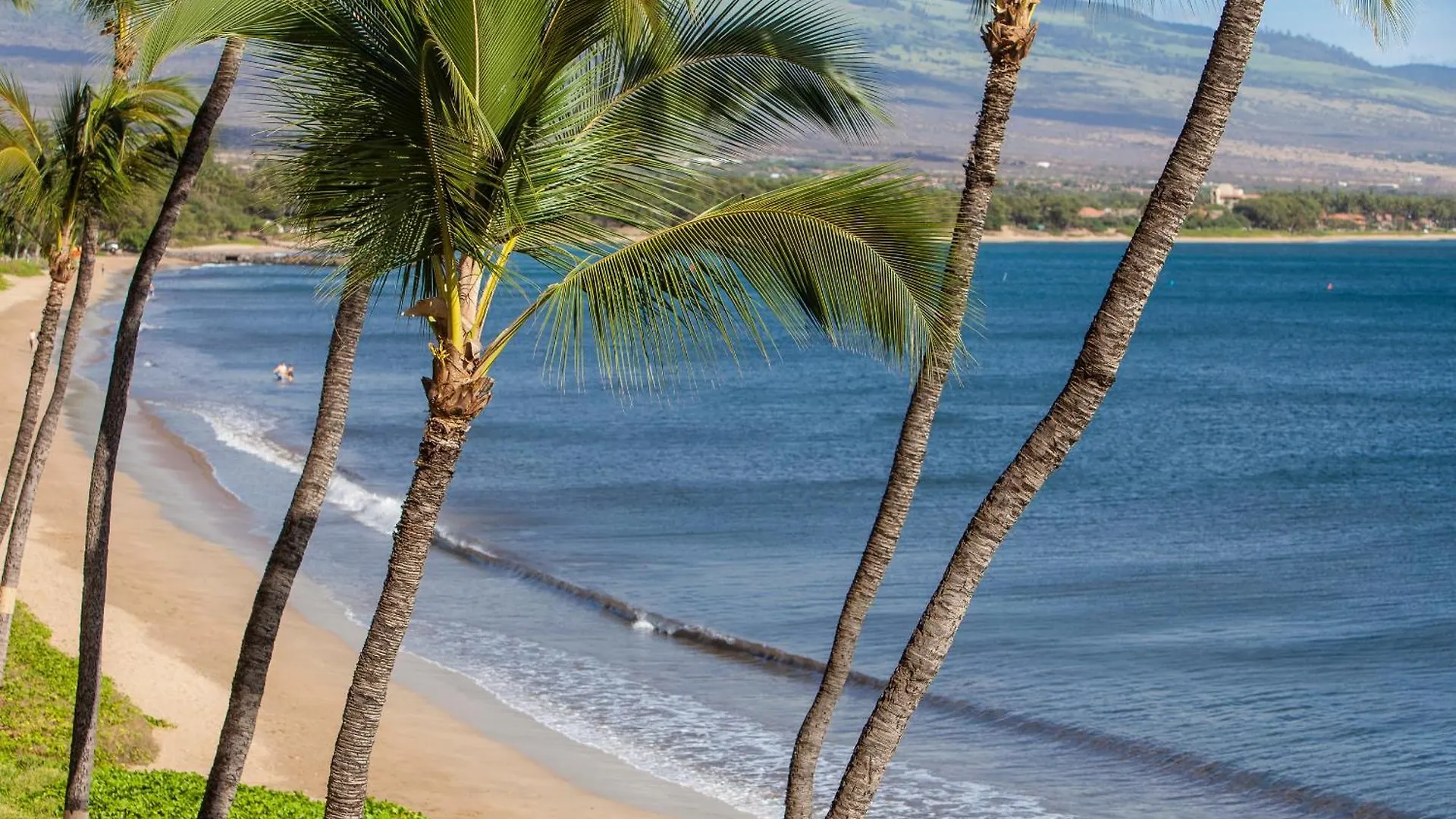 Sugar Beach 333 - Mch Kihei Holiday home