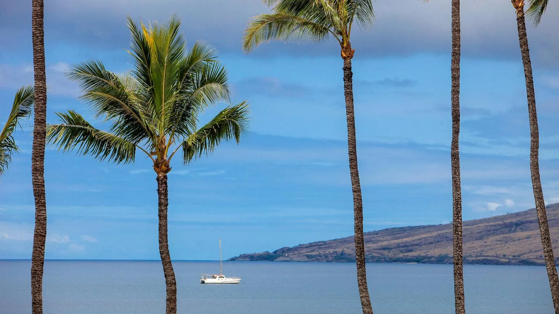 Sugar Beach 333 - Mch Kihei Holiday home
